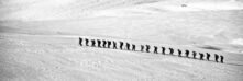 Silhouetted group hiking across a vast snowy landscape showcasing adventure and endurance.